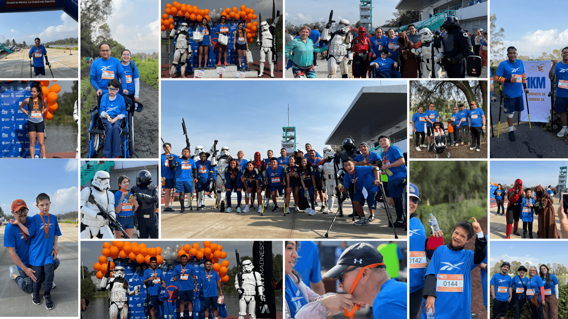 fondo carrera gaviota