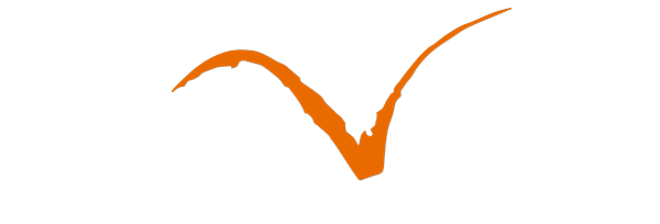 la gaviota blanco