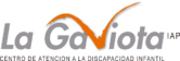 la gaviota centro de atencion a la discapacidad infantil