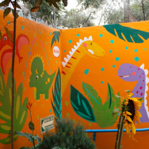 voluntario13
